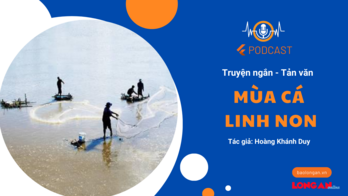 Mùa cá linh non