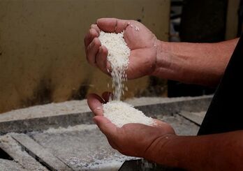 Indonesia imports more rice from Vietnam