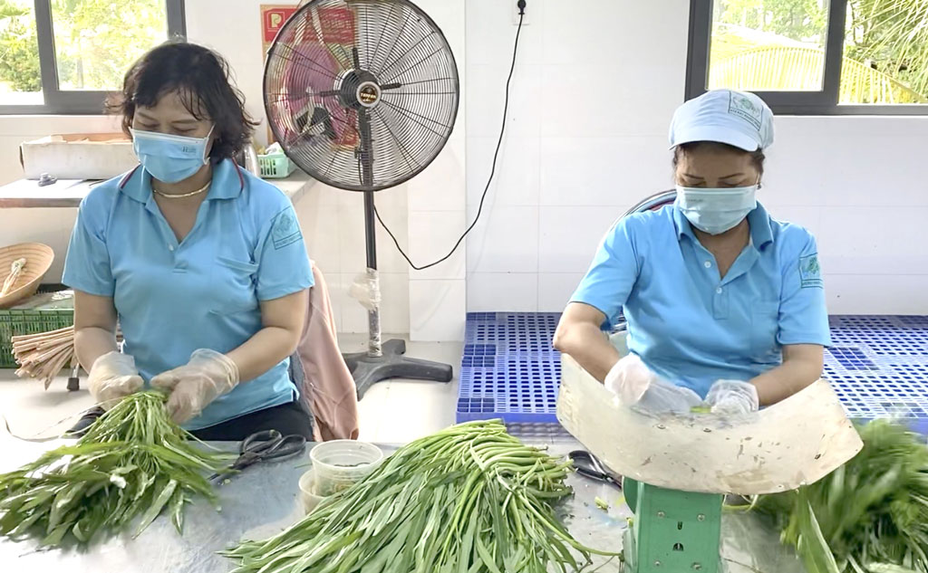Xu hướng sử dụng nông sản sạch