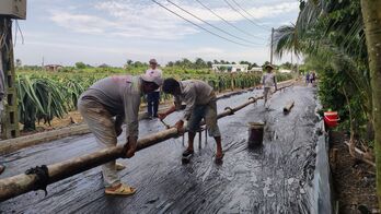 TP.Tân An thí điểm hỗ trợ bê tông đầu tư đường giao thông nông thôn