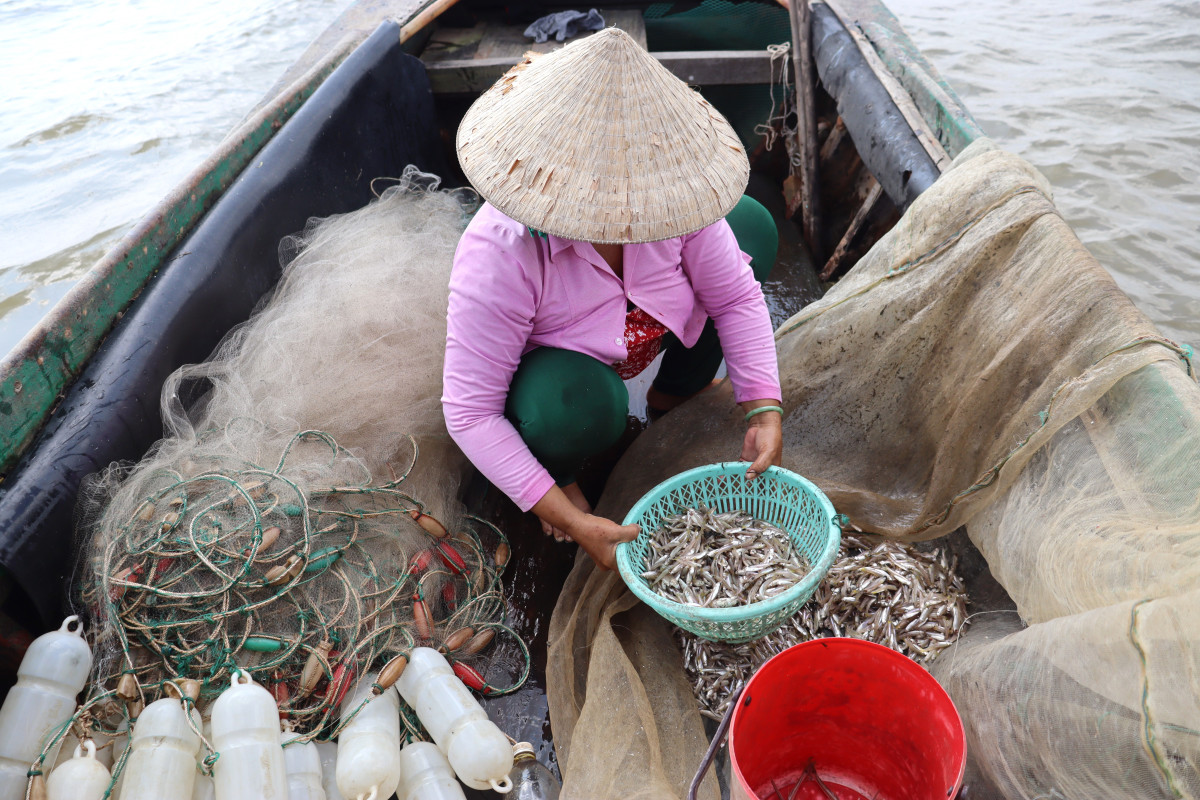 Ngư dân ra khơi đánh bắt cá cơm tại đoạn sông Vàm Cỏ