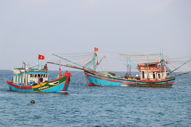 Ngư dân Quảng Ngãi khai thác hải sản gần bờ. (Ảnh: Phạm Cường/TTXVN)