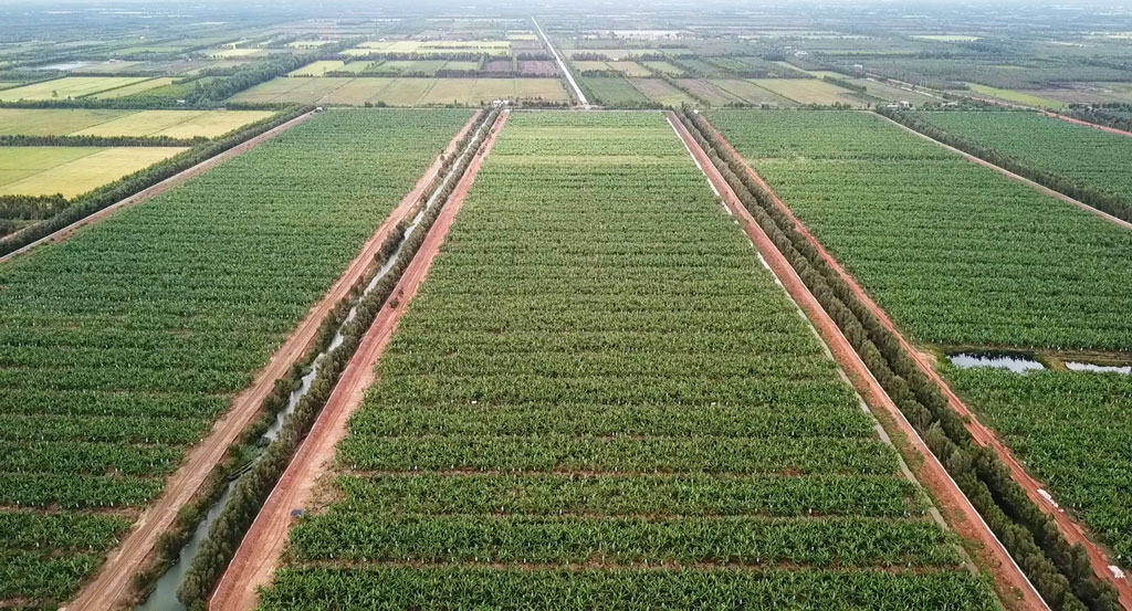Thu hút doanh nghiệp đầu tư cho nông nghiệp bền vững (Bài cuối)