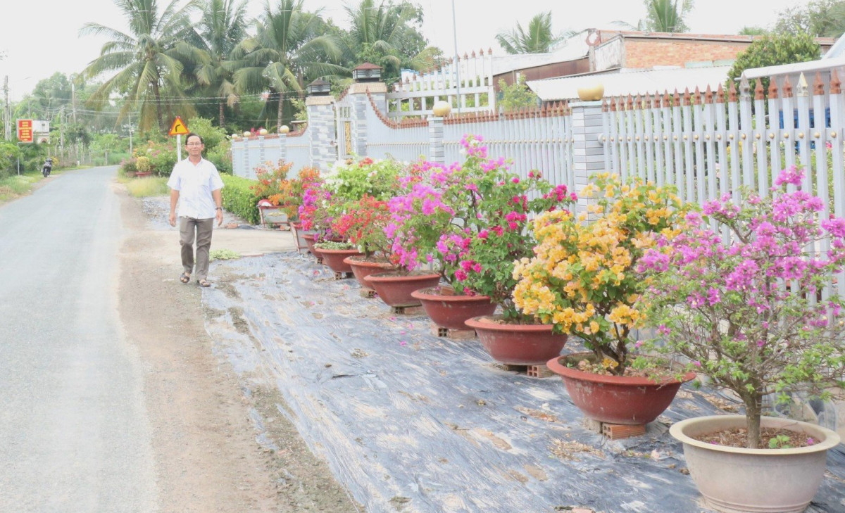 Tuyến đường hoa trước nhà ông Hoàng Trí Hóa (ấp 2, xã Thạnh Trị, thị xã Kiến Tường) góp phần tạo diện mạo mới cho địa phương