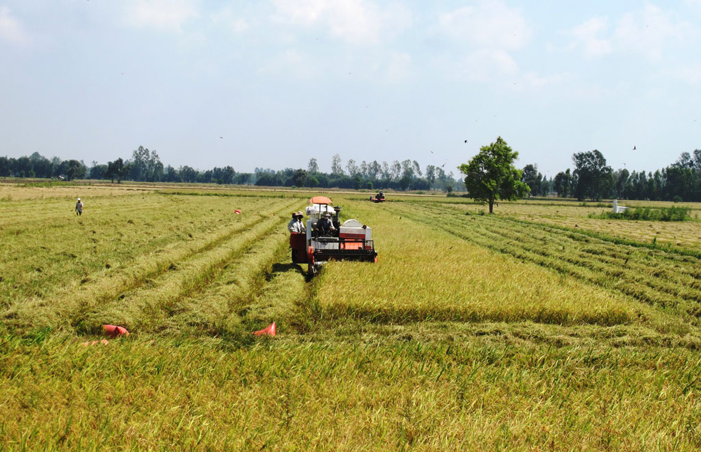 Các ngành nỗ lực thực hiện nhiệm vụ tháng cuối năm