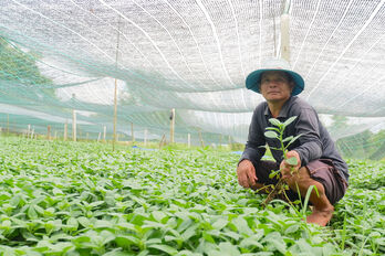 Tích cực phát triển kinh tế, đóng góp xây dựng địa phương