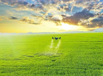 Phê duyệt 1 triệu hecta lúa chất lượng cao, giảm 10% phát thải