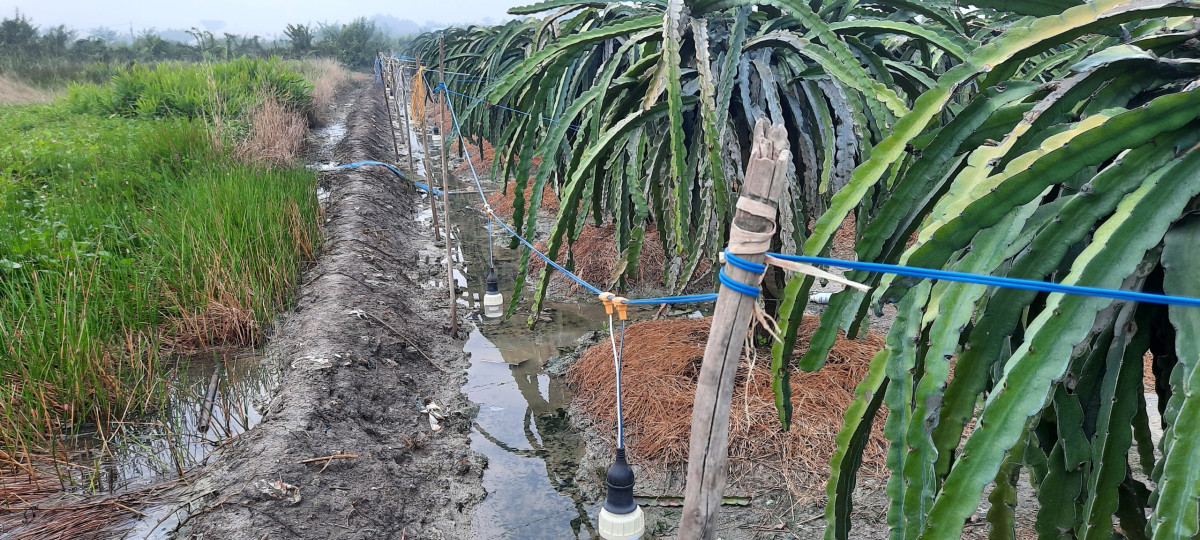 Cần bảo đảm an toàn điện trong sản xuất nông nghiệp để giảm thiểu đến mức thấp nhất các sự cố và tai nạn điện xảy ra (Ảnh minh họa)