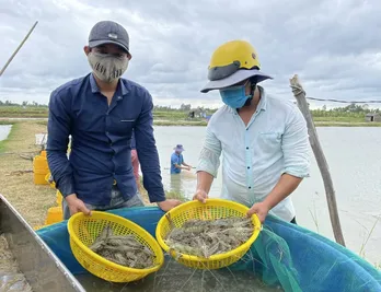 Tổng sản lượng thủy sản trong 11 tháng đạt hơn 8,4 triệu tấn