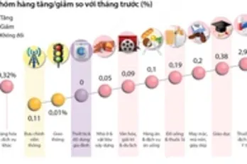 Chỉ số Giá tiêu dùng tháng 11/2023 tăng 0,25% so với tháng trước
