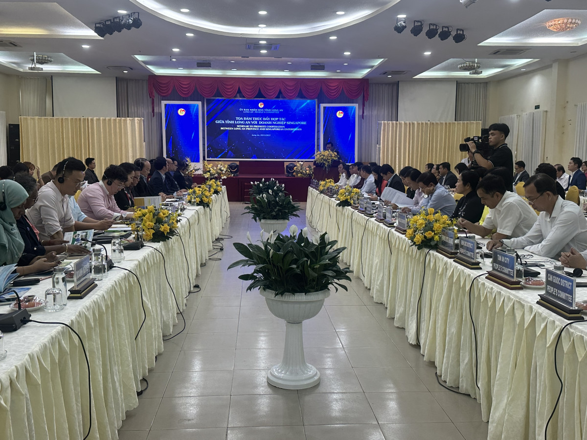 Long An promotes cooperation with Singapore businesses
