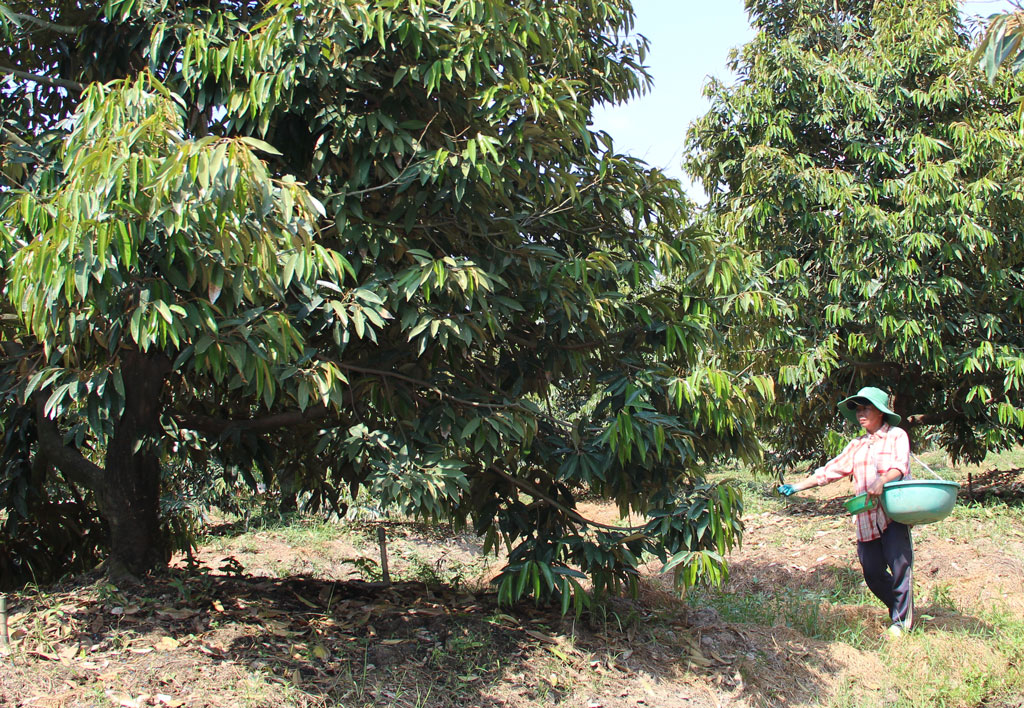 Promote trade and connect agricultural product consumption