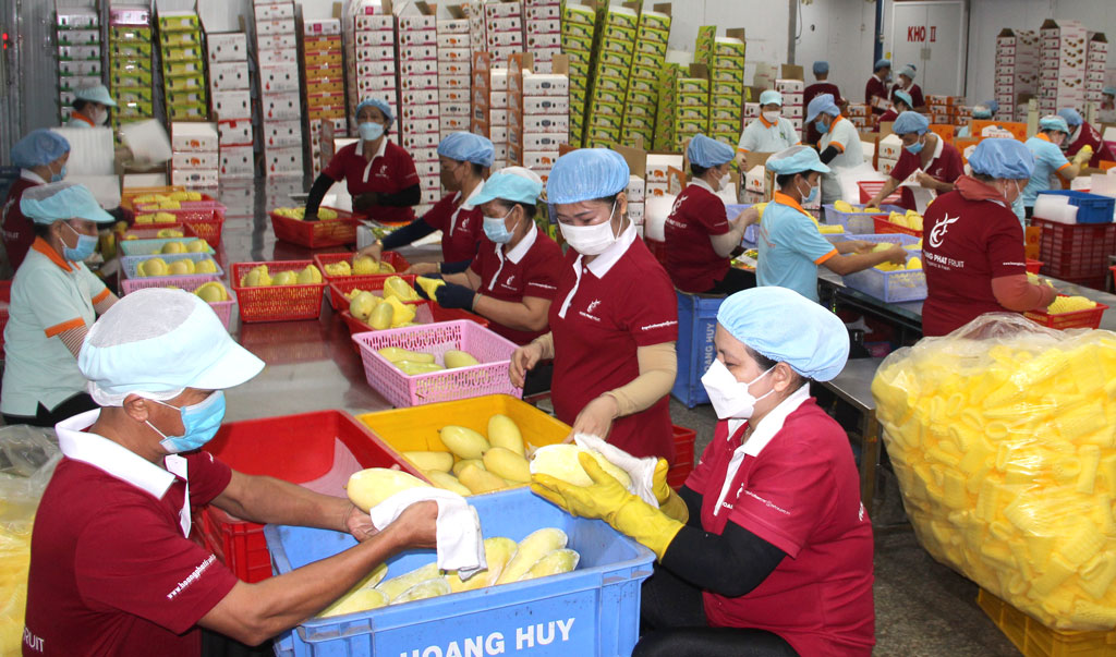 Promote trade and connect agricultural product consumption
