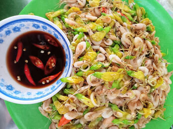 Nhớ thương tép rong xào bông điên điển