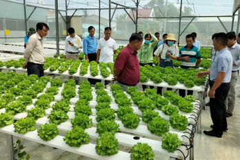 Nâng cao năng lực, hiệu quả hoạt động của hợp tác xã