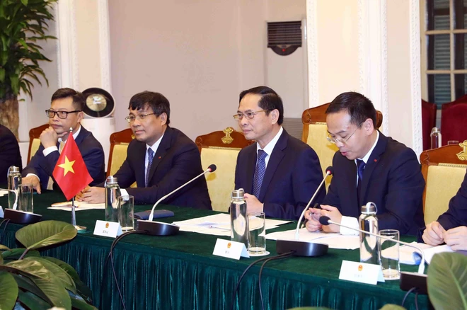Bộ trưởng Ngoại giao Việt Nam Bùi Thanh Sơn phát biểu. (Ảnh: Phạm Kiên/TTXVN)