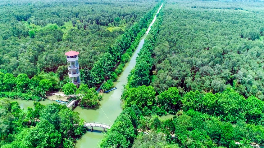 Trong không gian du lịch Hậu Giang tỉnh sẽ giới thiệu về tàu du lịch Xà No, chợ nổi Ngã Bảy, Khu Bảo tồn thiên nhiên Lung Ngọc Hoàng﻿... Ảnh: CHÂU ANH