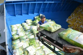 Gạo Việt Nam có nhiều cơ hội gia tăng giá trị và mở rộng thị trường xuất khẩu
