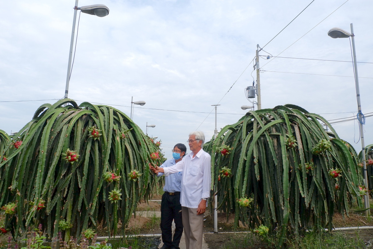 Châu Thành thực hiện vượt 11/14 chỉ tiêu Nghị quyết năm 2023