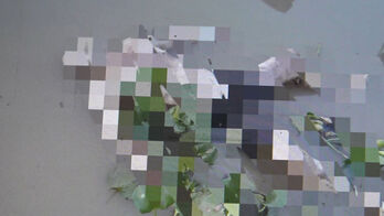 Tân Hưng: Phát hiện thi thể trôi trên sông Tân Hưng: Phát hiện thi thể trôi trên sông