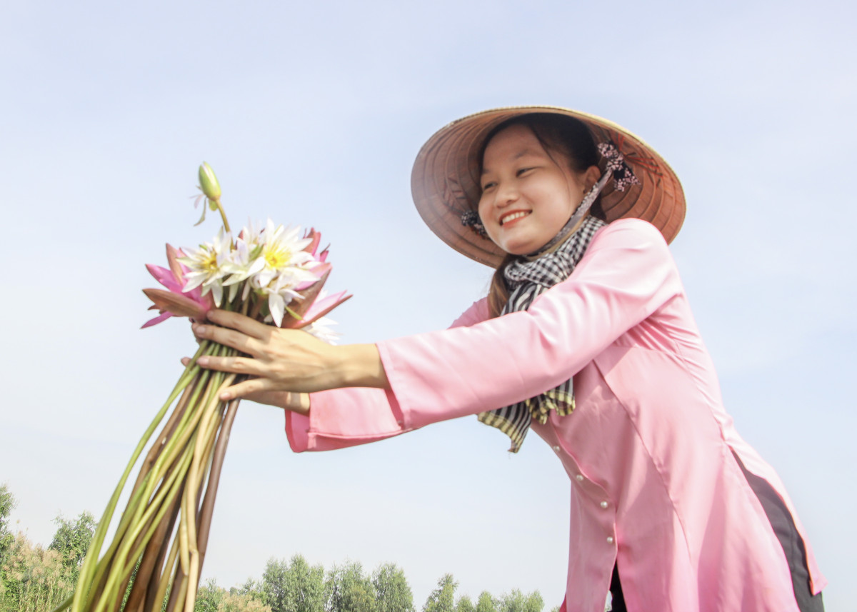 Thiếu nữ làm mẫu ảnh cùng bông súng trên đồng nước nổi. Hoạt động này vừa góp phần quảng bá nét đẹp vùng Đồng Tháp Mười, vừa đem lại thu nhập cho người dân địa phương