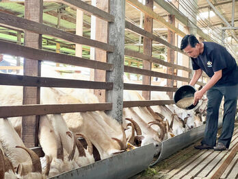 Vươn lên nhờ nguồn Quỹ Hỗ trợ cộng đồng David Dương
