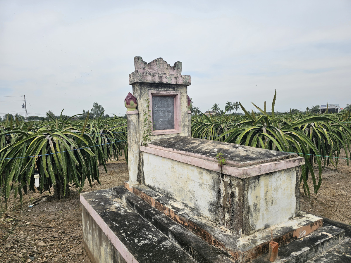 Mộ ông Cao Văn Mới, ông nội của nhạc sĩ Cao Văn Lầu, ở ấp Bình An, xã Thuận Mỹ, huyện Châu Thành