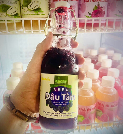 Về quê khởi nghiệp với trà Kombucha
