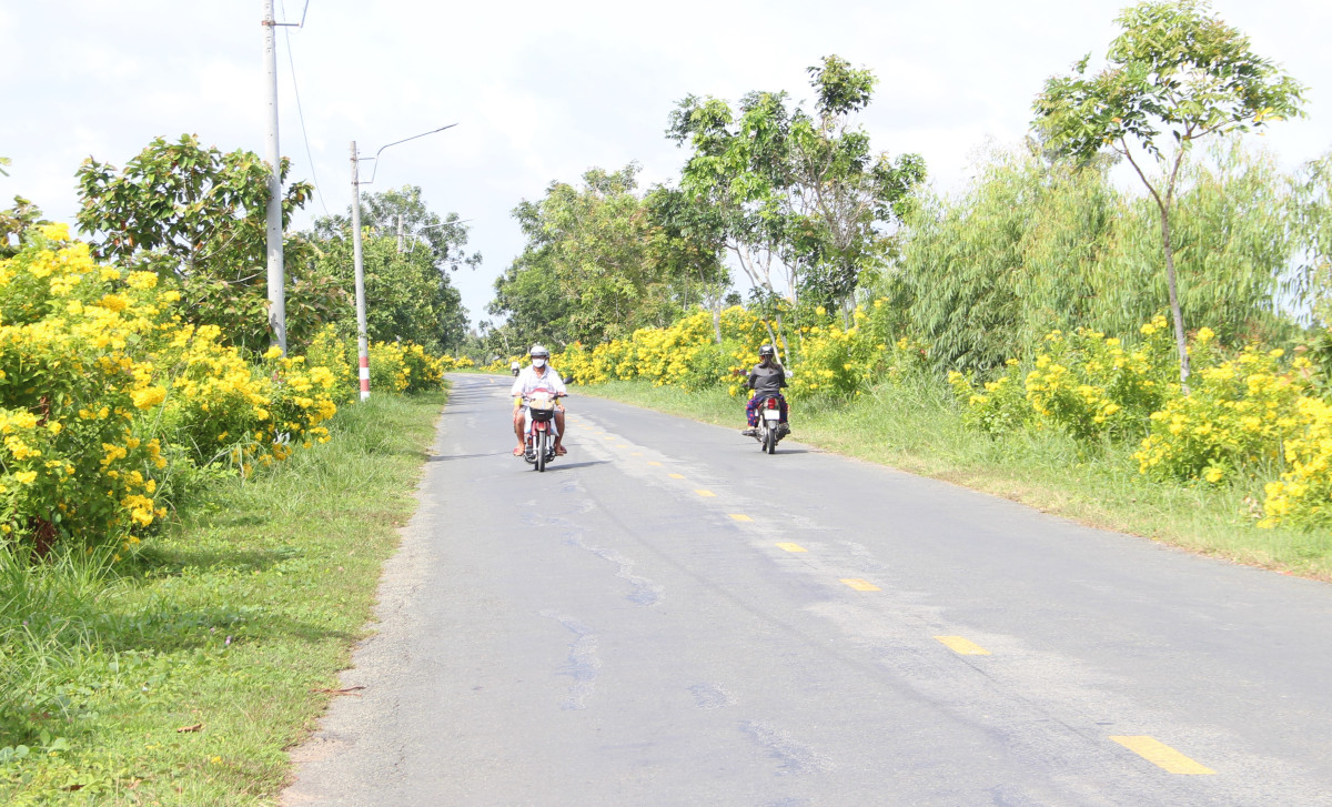 Hướng đến phát triển nông nghiệp, nông thôn bền vững Kết cấu hạ tầng giao thông được nâng cấp, cảnh quan môi trường nông thôn được cải thiện từ chương trình xây dựng nông thôn mới