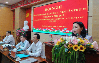 Thạnh Hóa thực hiện đạt và vượt 17/18 chỉ tiêu Nghị quyết năm 2023 Thạnh Hóa thực hiện đạt và vượt 17/18 chỉ tiêu Nghị quyết năm 2023