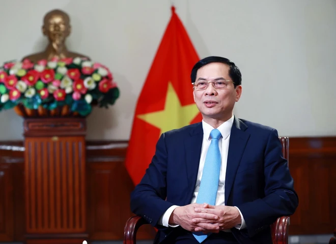 Bộ trưởng Ngoại giao Bùi Thanh Sơn (Nguồn: TTXVN)