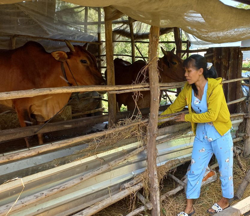 Không những được hỗ trợ tiền xây nhà, chị Trần Thị Thùy Dung (xã Bình Hiệp, thị xã Kiến Tường) còn được hỗ trợ vay vốn để chăn nuôi