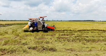 Tân Thạnh: Chuyển biến tích cực trên nhiều lĩnh vực Tân Thạnh: Chuyển biến tích cực trên nhiều lĩnh vực