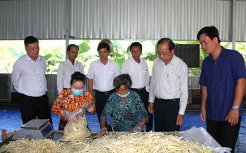 Toàn huyện Tân Thạnh có 8 sản phẩm OCOP Toàn huyện Tân Thạnh có 8 sản phẩm OCOP