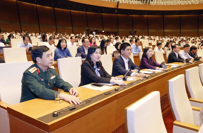 Công bố Lệnh của Chủ tịch nước về 7 luật vừa được Quốc hội thông qua Đoàn đại biểu Quốc hội tỉnh Bến Tre biểu quyết thông qua Luật Lực lượng Tham gia Bảo vệ An ninh, Trật tự ở cơ sở. (Ảnh: Doãn Tấn/TTXVN)