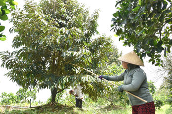 Vươn lên nhờ mô hình hỗ trợ sinh kế
