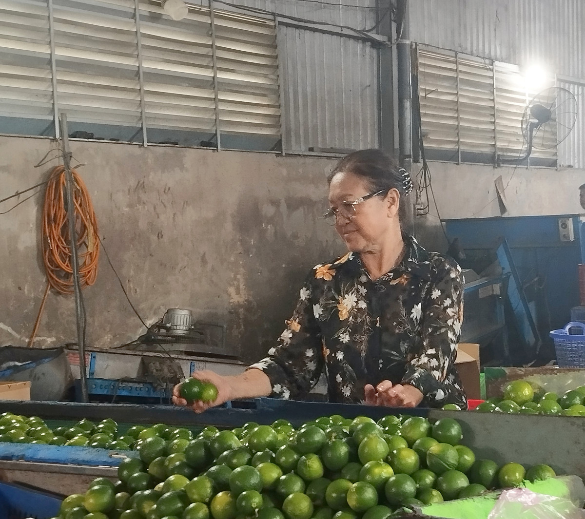 Giáo dân góp sức xây dựng quê hương