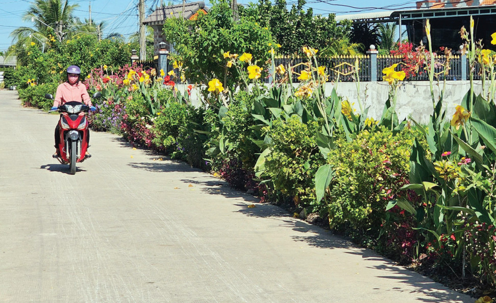 Tấm lòng phụ nữ biên cương Tuyến đường Sáng - xanh - sạch - đẹp tại ấp Voi, xã Mỹ Thạnh Tây, huyện Đức Huệ