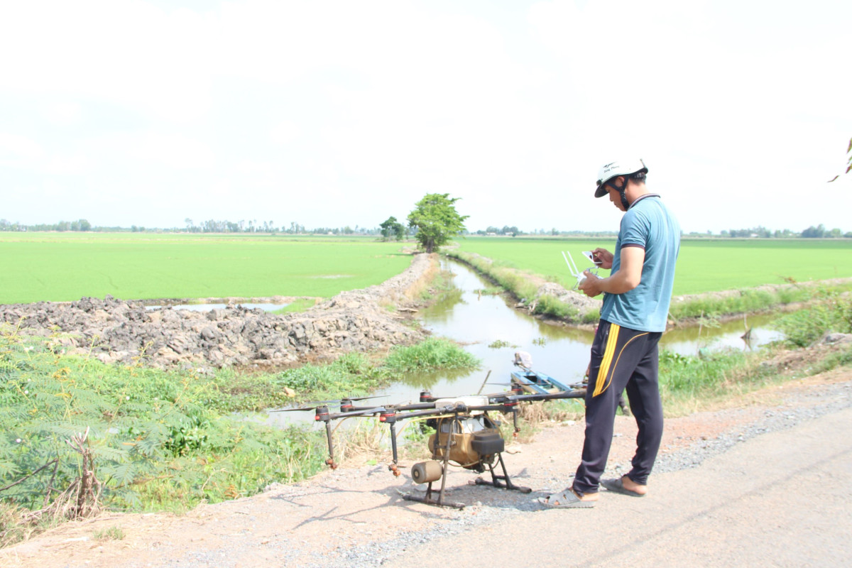 Long An to plant 1 million hectares of high quality rice