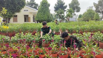 Cán bộ, chiến sĩ trồng hoa đón tết