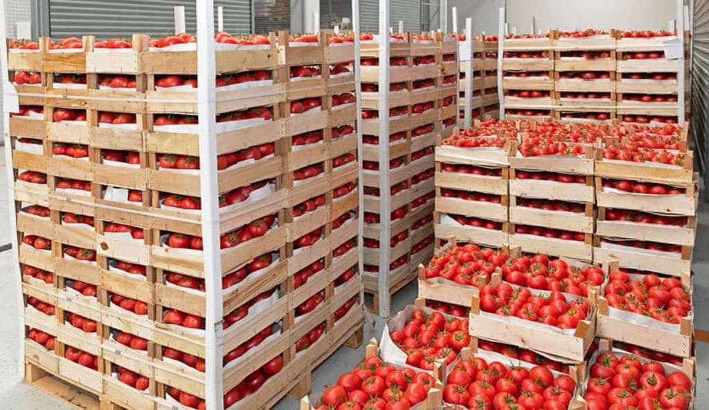 Đóng pallet gỗ theo yêu cầu ở Phú Trang - Giải pháp tối ưu cho nhu cầu của bạn