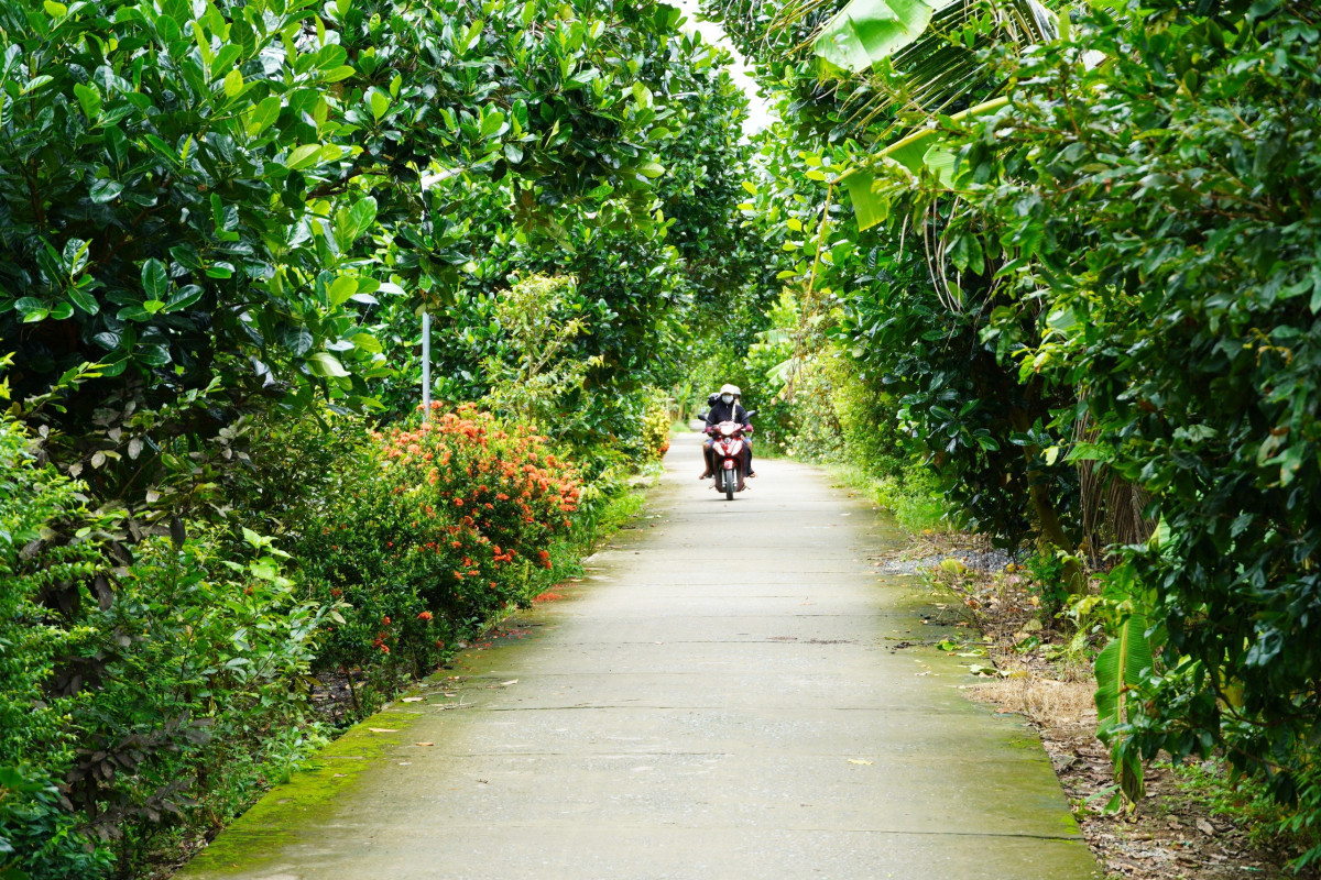 Đường quê xã Nhơn Ninh, huyện Tân Thạnh