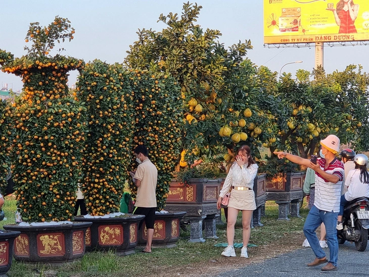 Chợ hoa Tết Giáp Thìn tại quận Cái Răng, TP Cần Thơ sẽ miễn phí tiền thuê mặt bằng cho người bán - Ảnh: V.C.