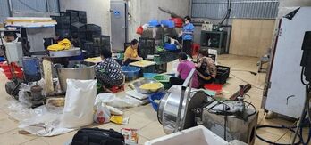 Nam Định: Cơ sở sản xuất phô mai que, nem chua không đảm bảo vệ sinh