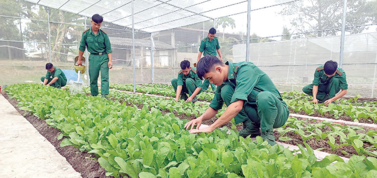 Đón xuân mới, không quên nhiệm vụ Cán bộ, chiến sĩ tăng gia sản xuất chuẩn bị nguồn thực phẩm sạch đón tết