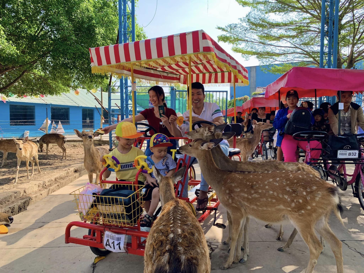 Với mô hình vườn thú bán hoang dã giúp du khách có thể tiếp cận, vuốt ve và cho thú ăn (Ảnh: Khu du lịch cung cấp)