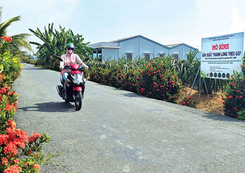 Huyện nông thôn mới vui đón 'tin xuân'