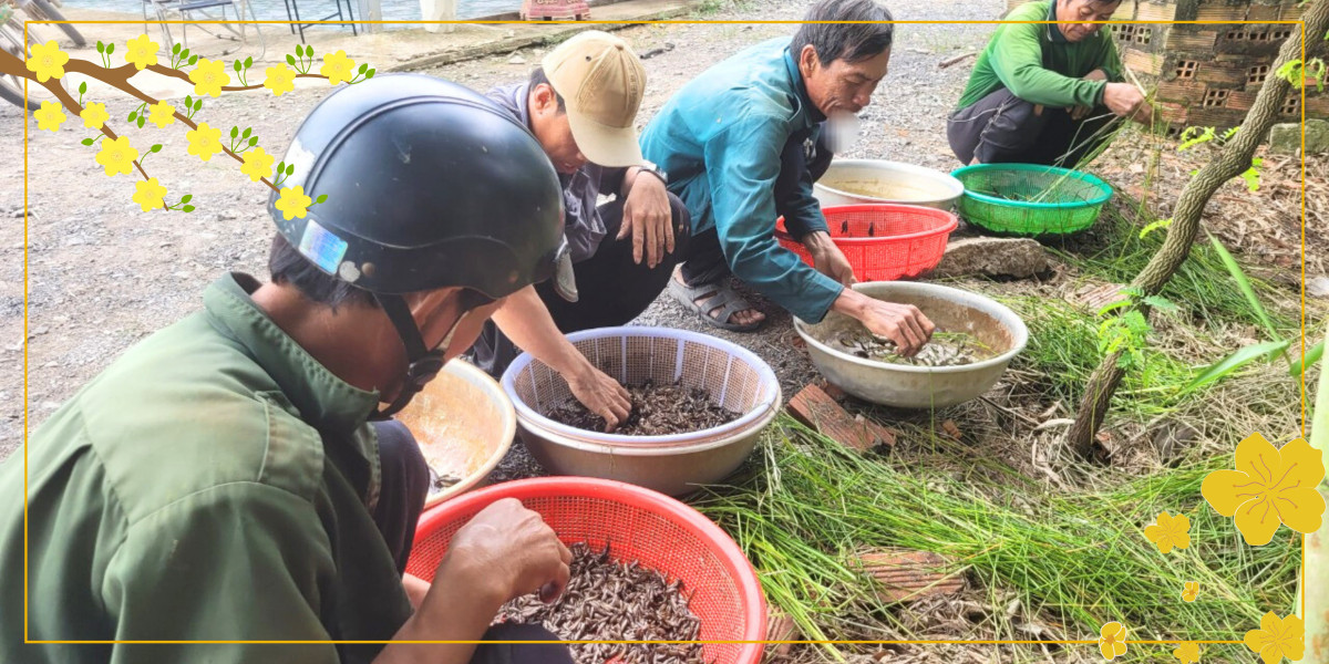 Xuôi miền hạ, ngược vùng thượng, nghe chuyện đón xuân