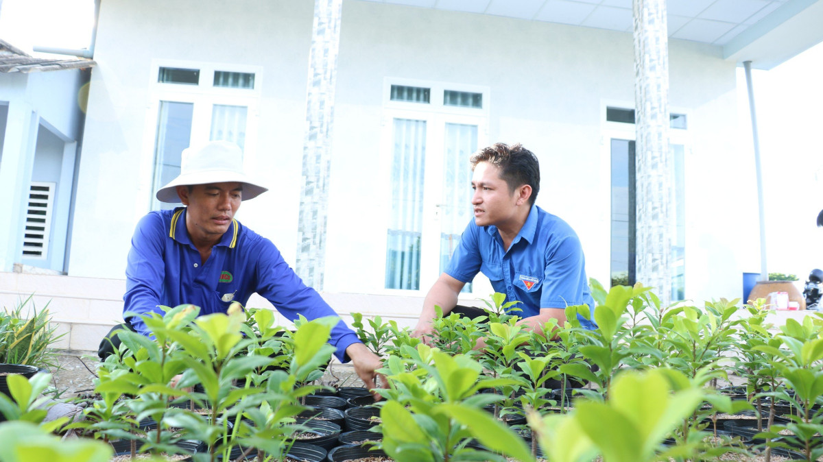 Anh Nguyễn Văn Hào bắt đầu quá trình khởi nghiệp trồng mai từ việc đam mê cây cảnh