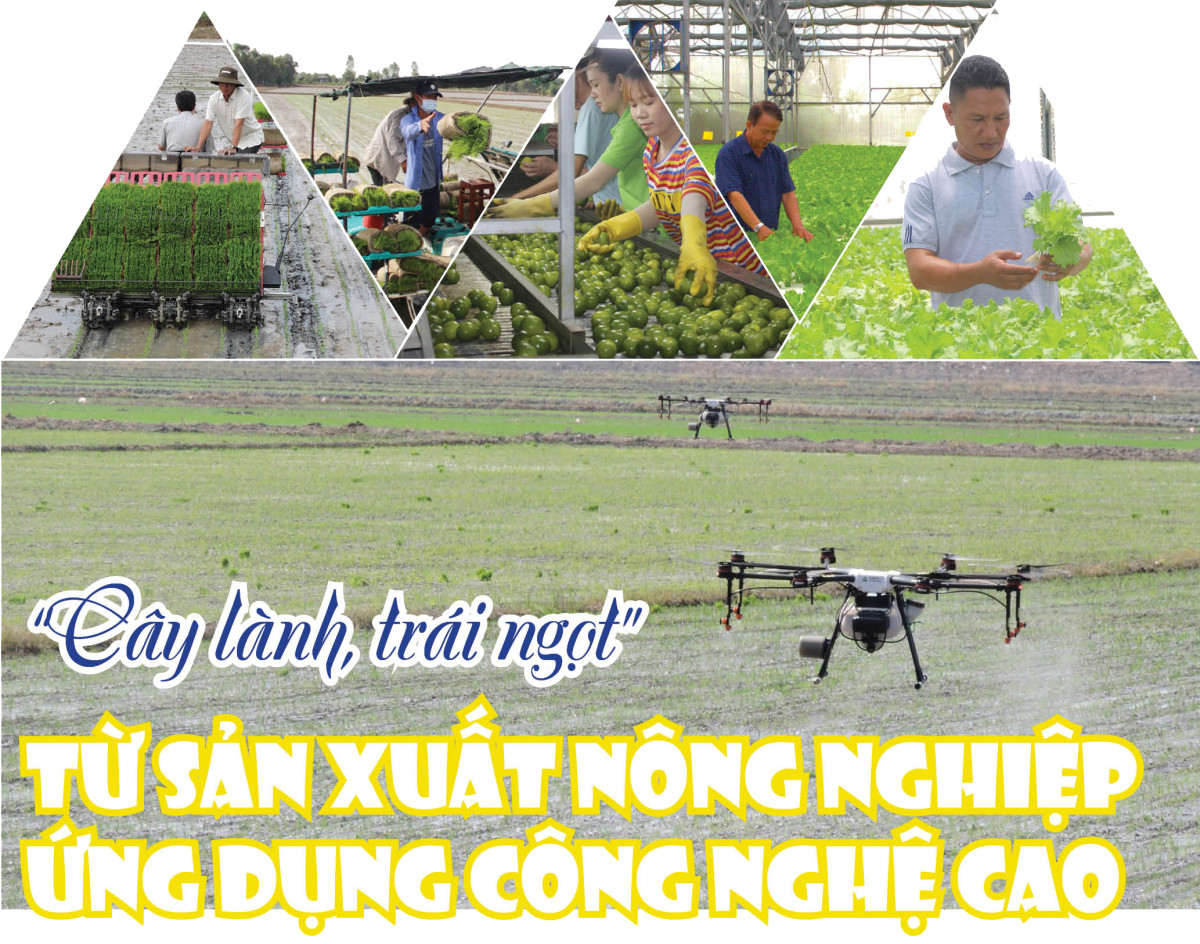 'Cây lành, trái ngọt' từ sản xuất nông nghiệp ứng dụng công nghệ cao